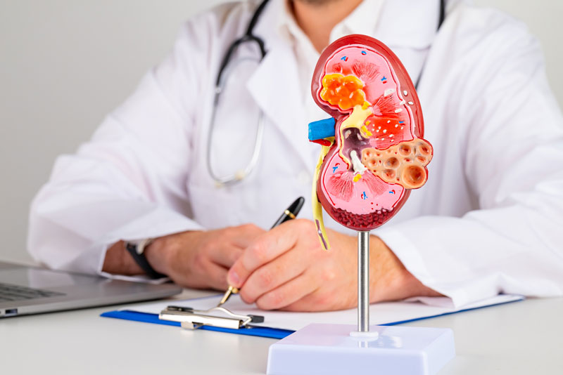 UROLOGIA