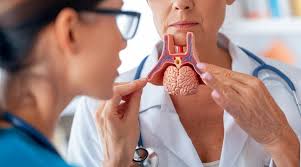 ENDOCRINOLOGIA